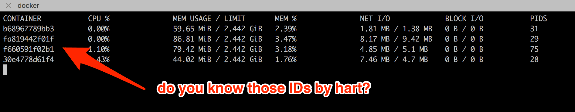 docker-stats-with-containers-names